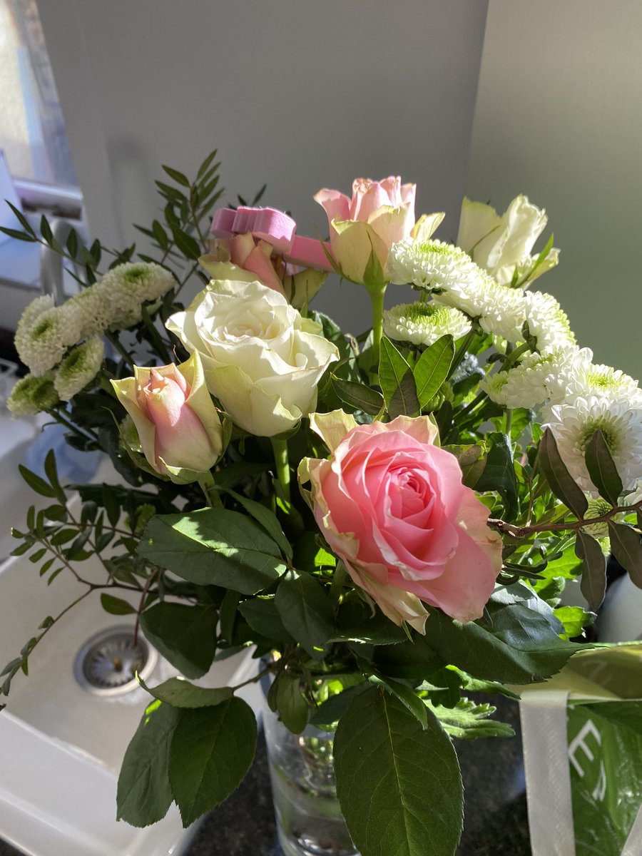sam_selner's tweet photo. Never ever buy flowers from @prestigeflowers. Ordered a large bouquet. Difference between what I ordered and what they sent is a joke. Offered a £5 refund, which would be the price of a medium (it wasn’t even the size of their standard offering).  Now refuse to compensate at all. https://t.co/SOG3VJxjUe