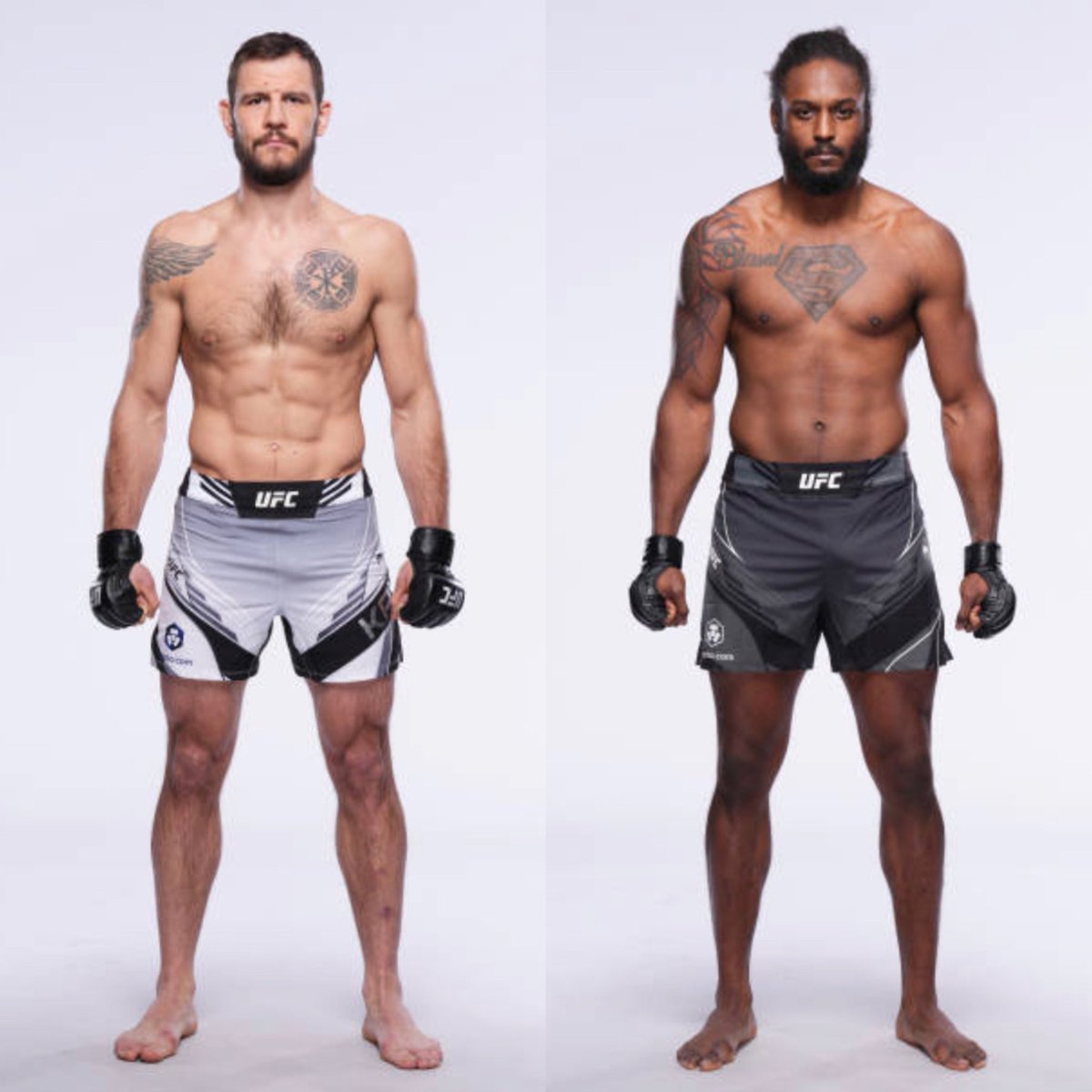 MMA Orbit tweet media