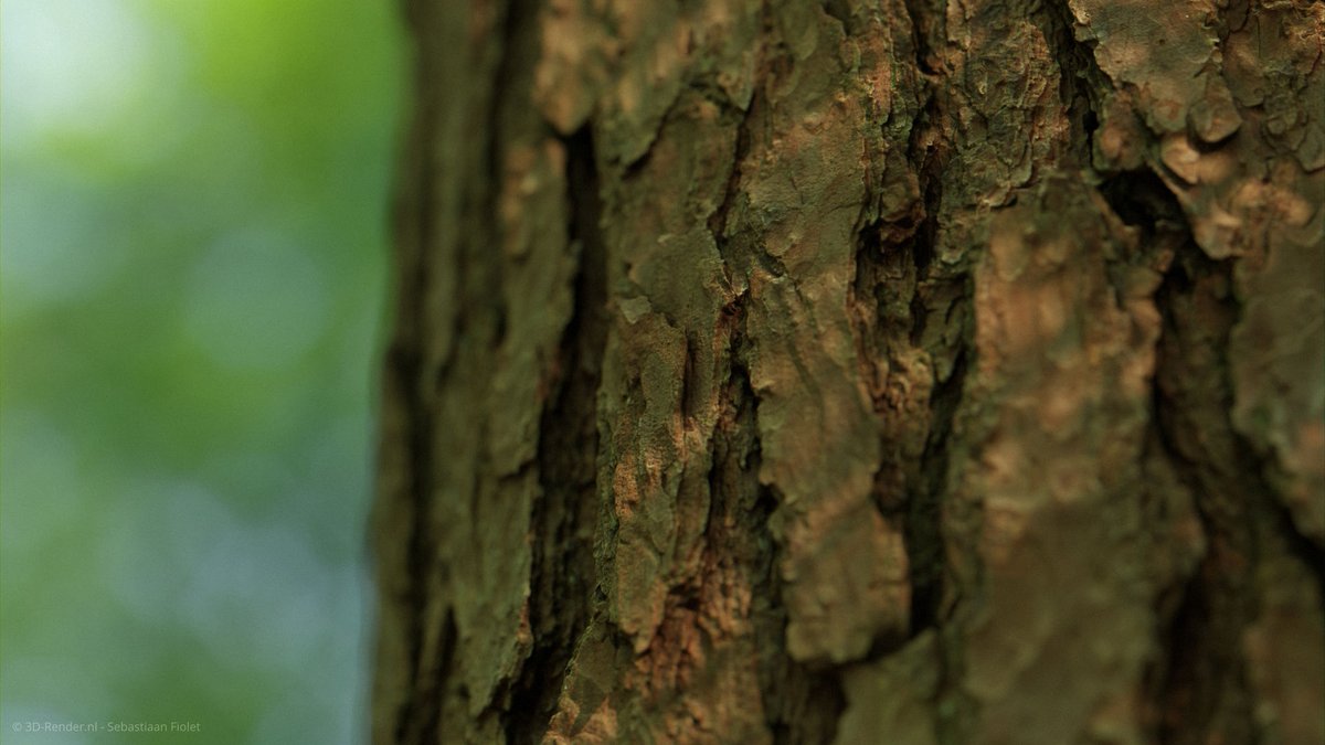 3D_Render_nl's tweet photo. It's finally here! My New FREE asset: Pinus Sylvestris Bark.

3D scanned (Photogrammetry)
12K textures and high poly model makes sure you can create extreme close-up renders!

Download here: https://t.co/6SVBFYGNzY

#3D #3dart #b3d  #blender  #photogrammetry  #free #cc0 #pbr #rtx https://t.co/wVNqqAhxu3