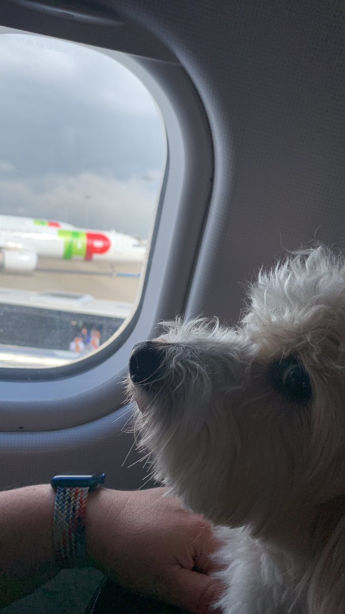 Sylvia Johnston tweet media