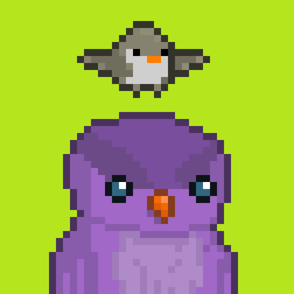 Solarbirds tweet media