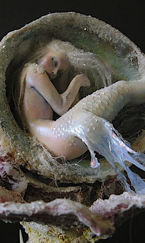 frozen mermaid by american fantasy doll sculptress nicole west