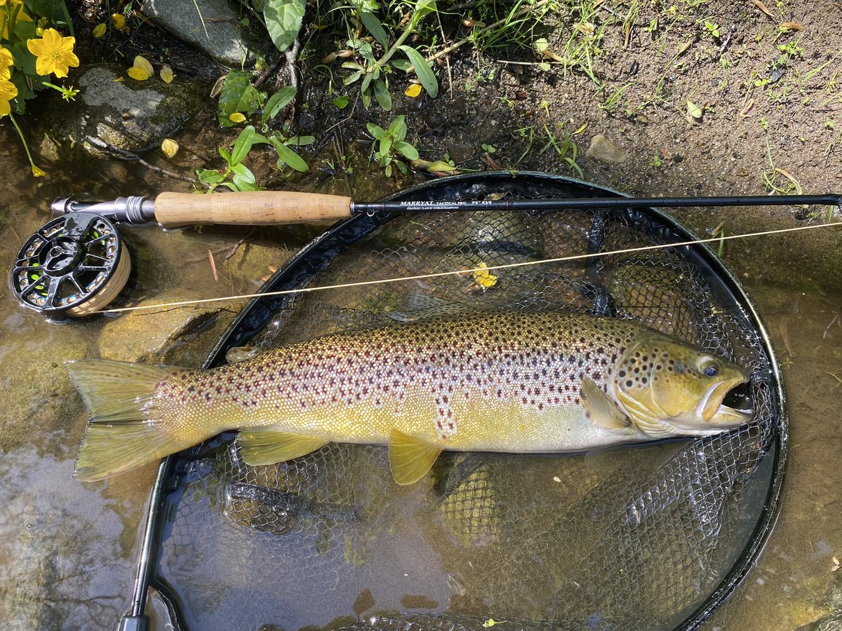 FishOnProductions tweet media