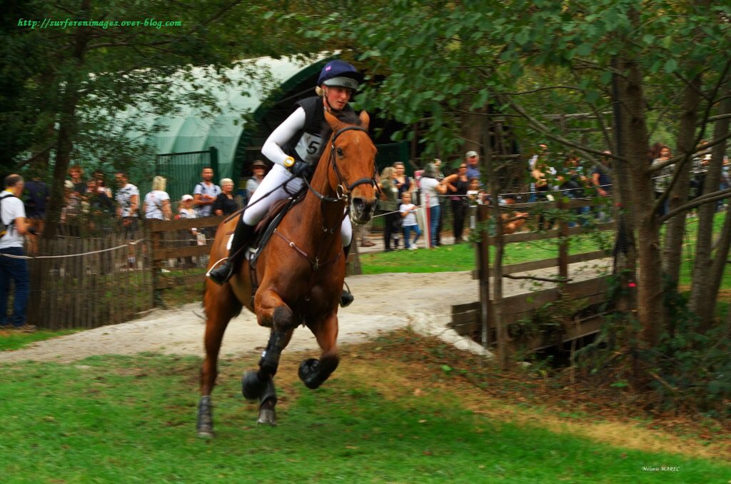 melanie_marec's tweet photo. #cross 2022 des @5etoilesdepau #cci5etoilesdepau #sport #photo #event #paumaville @ville_pau #cavalier #cheval #courses #sportequestre #bearn #nouvelleaquitaine #pyrenees #sudouest #eventing  #horseriding la suite sur https://t.co/1QnoWmBkZw https://t.co/pMWgTx9PCL