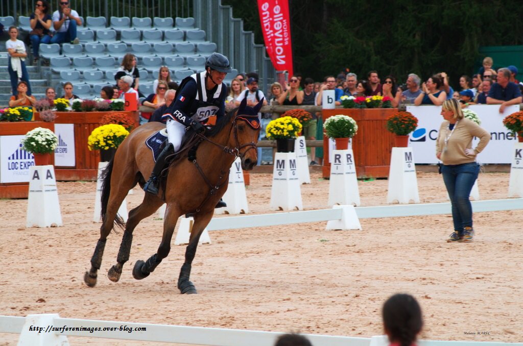 #cross 2022 des @5etoilesdepau #cci5etoilesdepau #sport #photo #event #paumaville @ville_pau #cavalier #cheval #courses #sportequestre #bearn #nouvelleaquitaine #pyrenees #sudouest #eventing  #horseriding la suite sur surferenimages.over-blog.com/2023/02/le-cro…