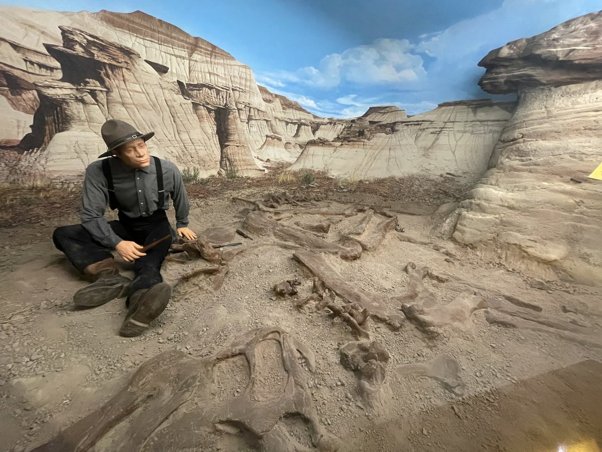 Andradite's tweet photo. I didn’t realize I’d be seeing the badlands of Alberta at the Natural History Museum in Milan 🦖 https://t.co/KX39wzeKSG