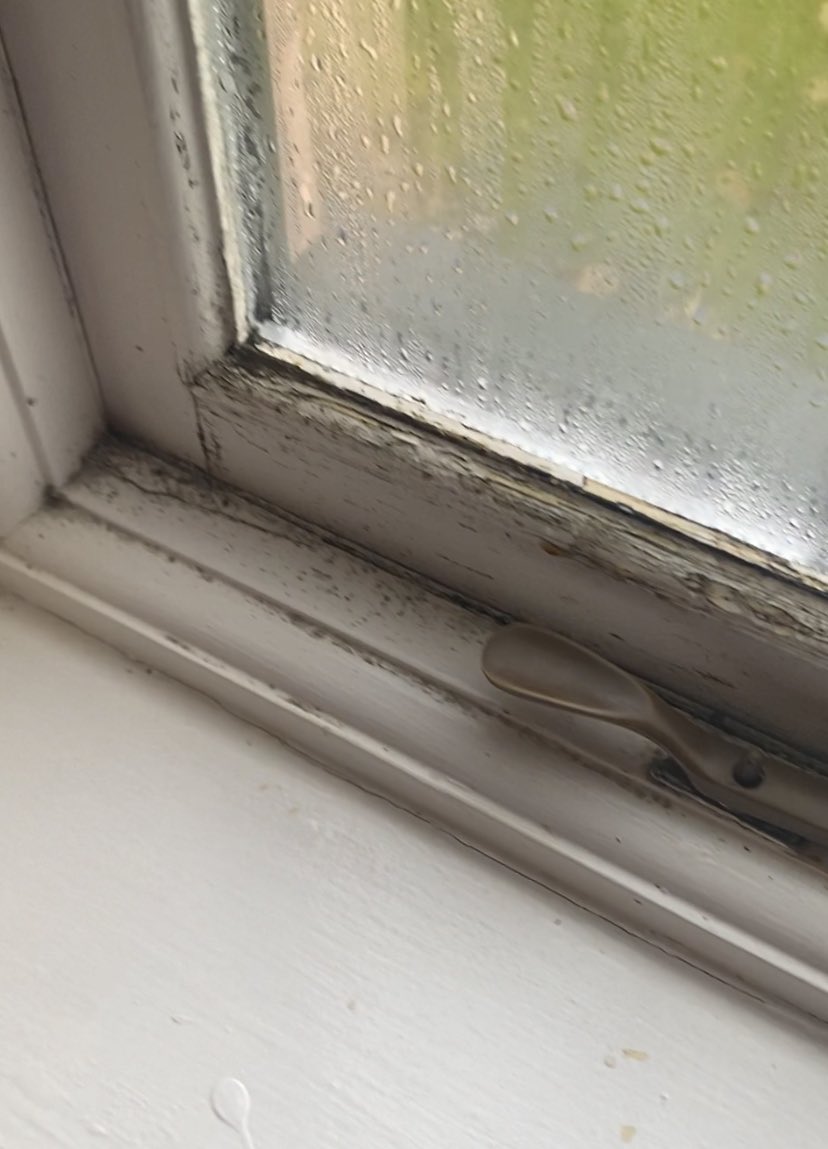 _littlesthobo's tweet photo. @CwrtBleddyn mouldy health hazard! Lovely staff but room was disgusting… £149 to stay over night in a bacterial nightmare… yuk! Room smelled musty and damp, plus paid for double room and ended up with two singles pushed together. https://t.co/ePCm0tDp4d