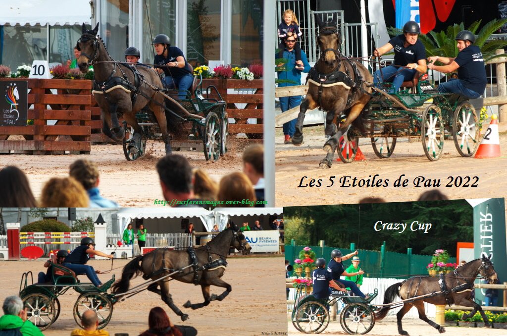 #crazycup 2022 des @5etoilesdepau #cci5etoilesdepau #sport #photo #event #paumaville @ville_pau #cavalier #cheval #courses #sportequestre #bearn #nouvelleaquitaine #pyrenees #sudouest #eventing  #horseriding la suite sur surferenimages.over-blog.com/2023/02/crazy-… #horse