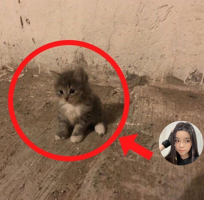 can someone adopt her