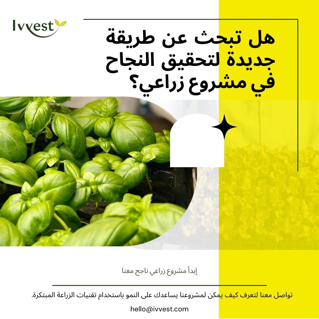 شارك واخدم مجتمعك بطريقة إبداعية من خلال مزرعة الزراعة العمودية المائية التي تم بناؤها في وحدتنا الزراعية وإبدأ مشروع زراعي ناجح معنا واحصل على محاصيل ذات جودة عالية، في أي وقت من السنة وبغض النظر عن الظروف الخارجية.
hello@ivvest.com
 #مشروع_زراعي #تكنولوجيا_الزراعة