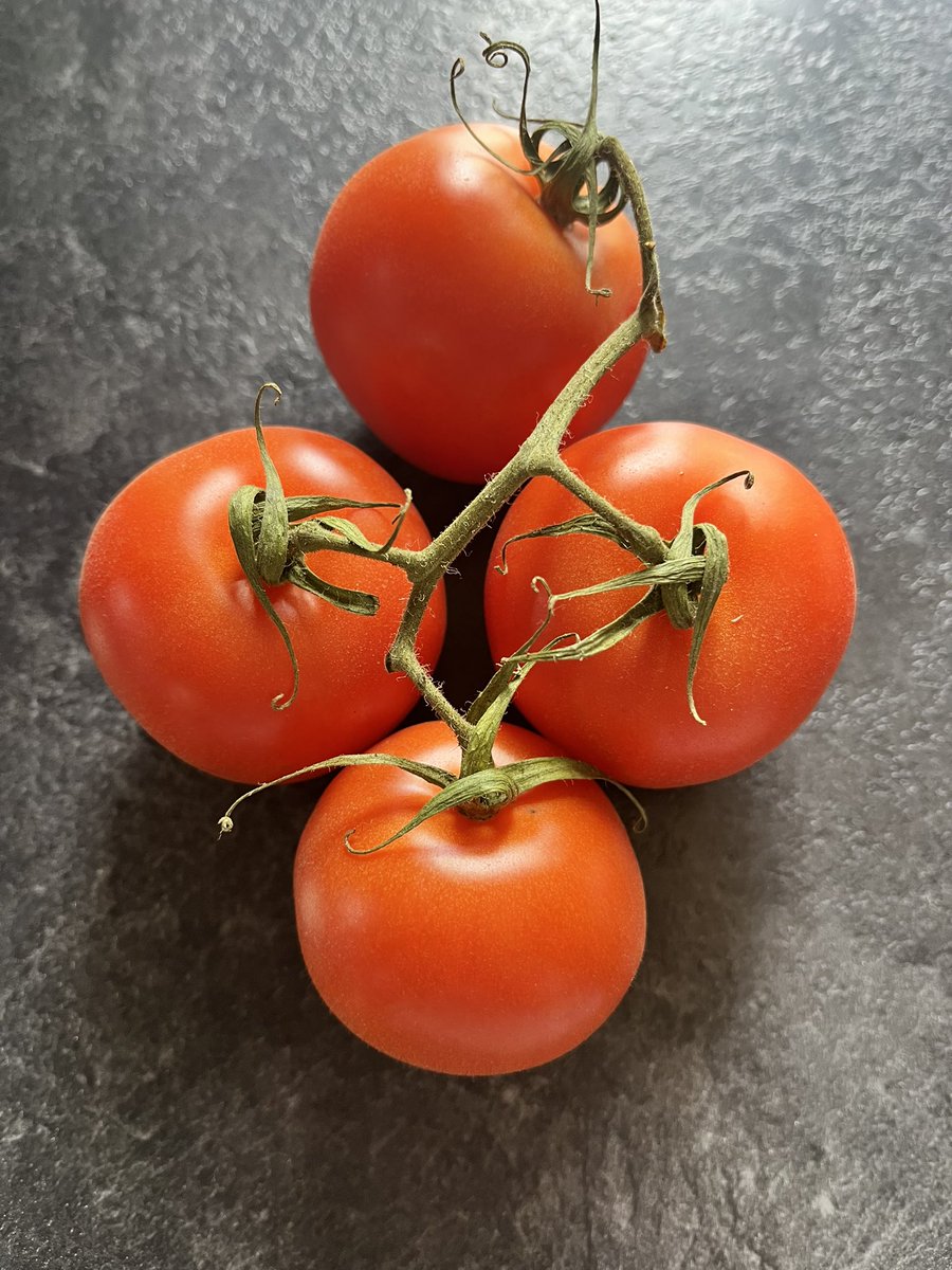 I feel as lucky as Kevin Costner in ‘Waterworld’… anyone wanna trade? 😂 #tomatoshortage #Tomatoes