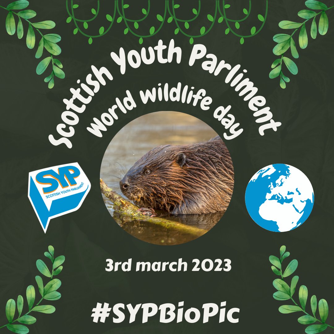 SYP TERA Committee 🌳🚙🐑 tweet media