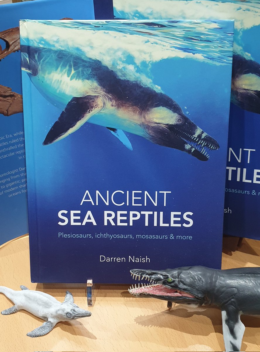 TetZoo's tweet photo. Only a few more days before #AncientSeaReptiles is out (@NHM_London in the UK, @SmithsonianBook in the US). A comprehensive and well illustrated tour of the #Triassic, #Jurassic and #Cretaceous marine reptiles: their evolution, anatomy, biology and lifestyles. #books #reptiles https://t.co/cdN36R7kdT