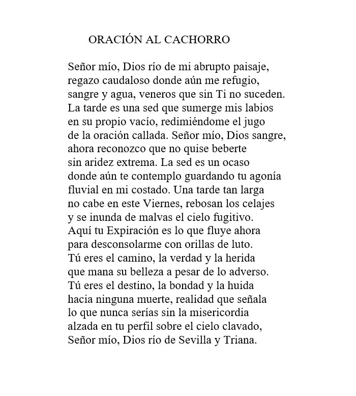 De INCIENSO Y PLATA  (2014)
#SevillaCofrade #Cachorro23 @HdadCachorro 
#Poesía #MisVersos #SiempreLaPoesía