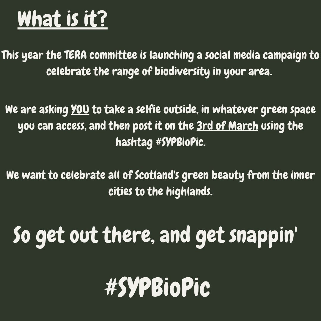 SYP TERA Committee 🌳🚙🐑 tweet media