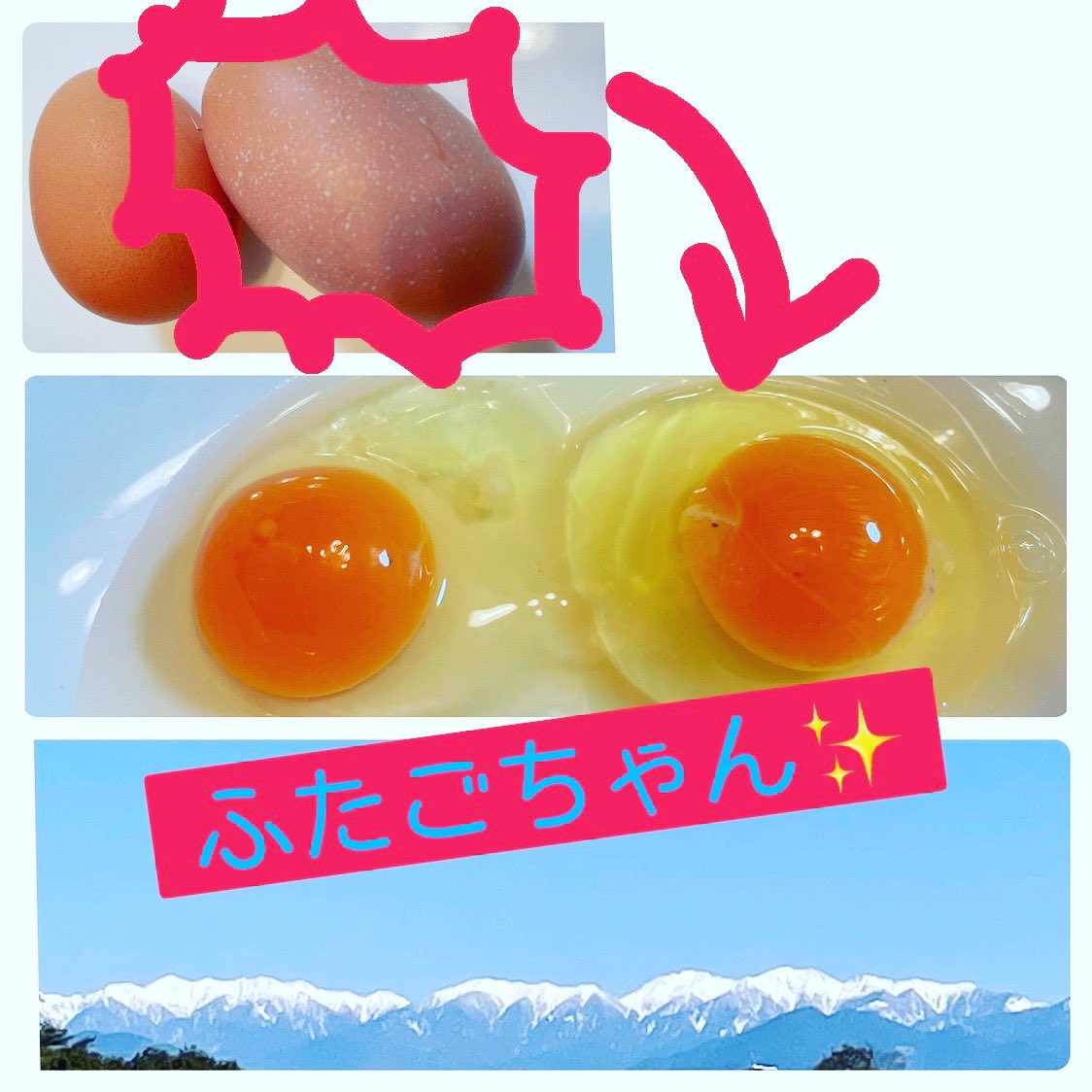 malayuri's tweet photo. 産みたて卵の中に
長細い子！
割ってみると

良いことありそう❤︎

#アンイングリッシュ
#アン進学ジム #さんこくキッズ
#学習塾  #中学生塾  #小学生塾 
#守山区  #守山区塾 
#英検　#英検対策
#守山中　#守東　#小幡 
#内申アップ
#愛知県高校受験
#ふたごのたまご 
#ふたごのたまご割るとうれしい https://t.co/CUG5Be7UwD