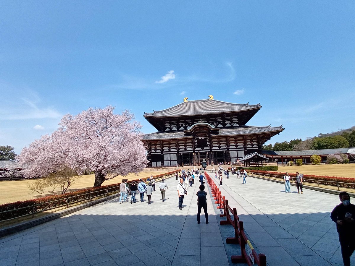 lib__travel's tweet photo. 旅行が好きです
よろしくお願いします
#初めてのツイート https://t.co/j2gvhs1FDA