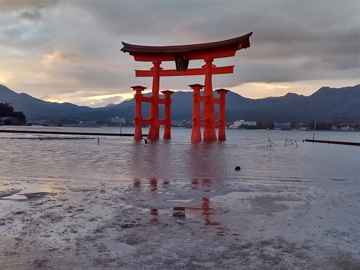 lib__travel's tweet photo. 旅行が好きです
よろしくお願いします
#初めてのツイート https://t.co/j2gvhs1FDA