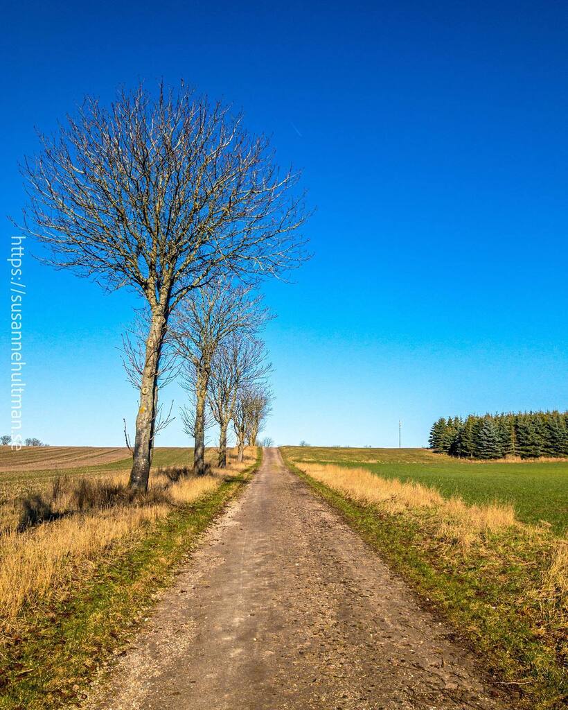 Susanne Hultman tweet media