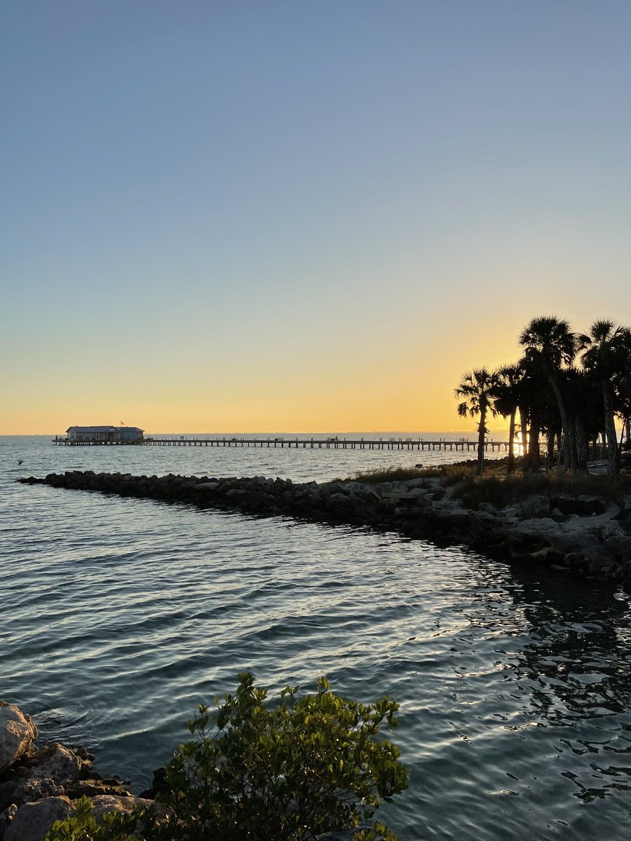 Island Unique tweet media