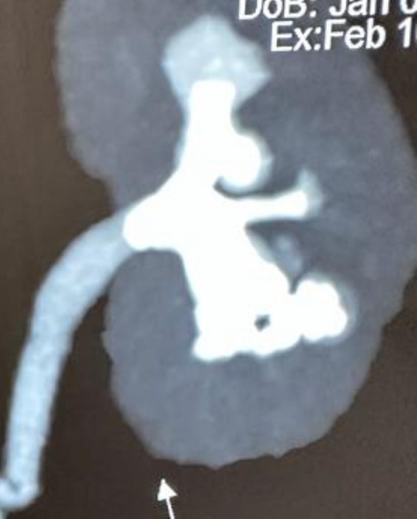 Dr. Pankaj N. Maheshwari tweet media