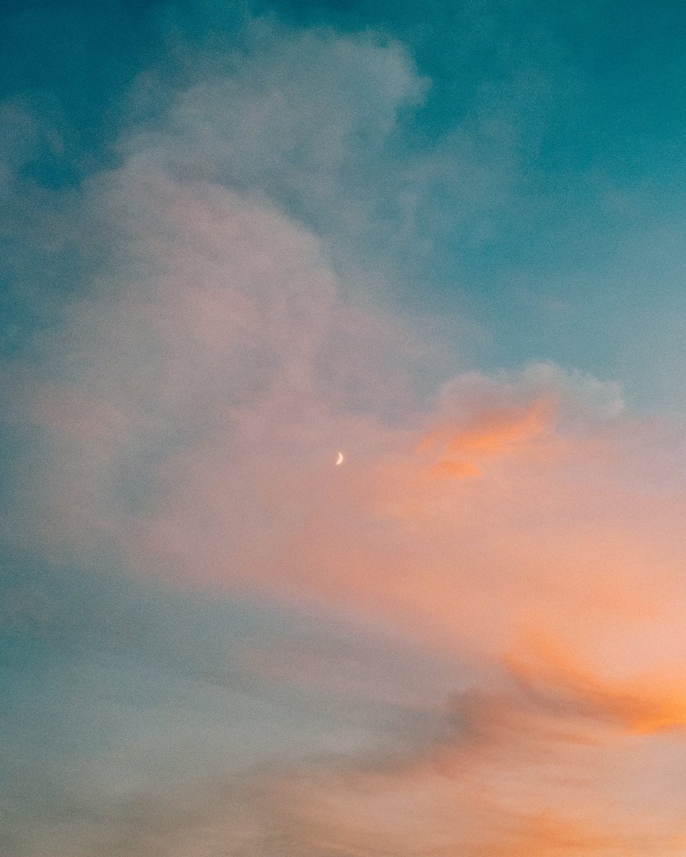 gavin spellman (@gav_spellman) on Twitter photo 