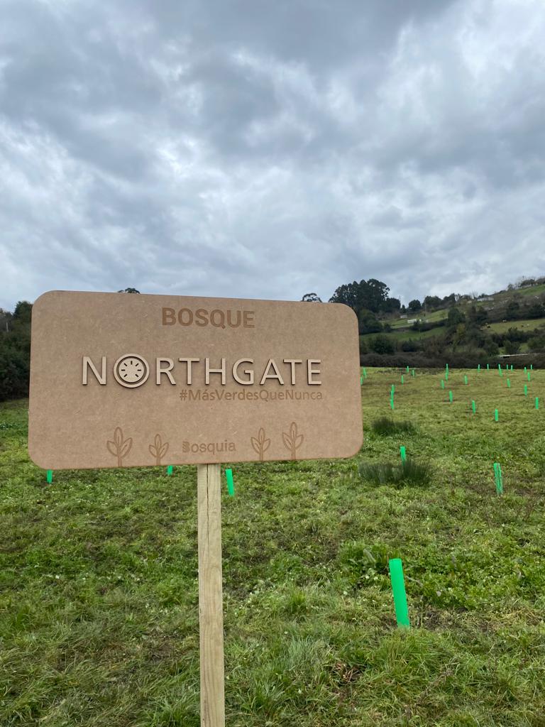 northgate_es's tweet photo. Esta mañana hemos plantado el Bosque Northgate de Sotiello, Gijón, compuesto por 500 árboles autóctonos como la encina, haya, abedul, castaño y muchos más. Con esta jornada sostenible hemos compensado 162,28 toneladas de CO2.
#MasVerdesQueNunca #BosquesNorthgate https://t.co/9FrIOfDE47