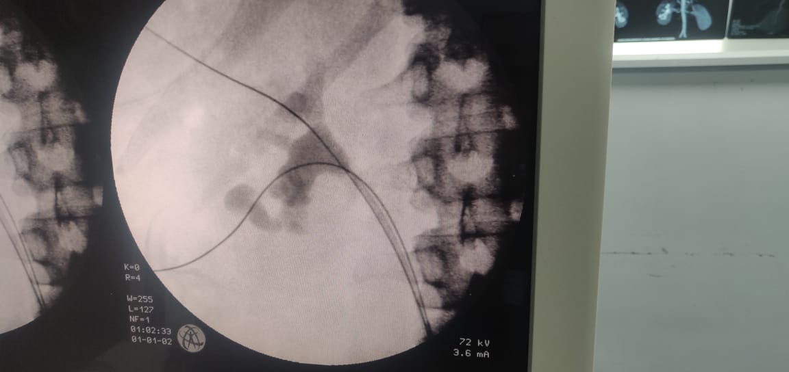 Dr. Pankaj N. Maheshwari tweet media