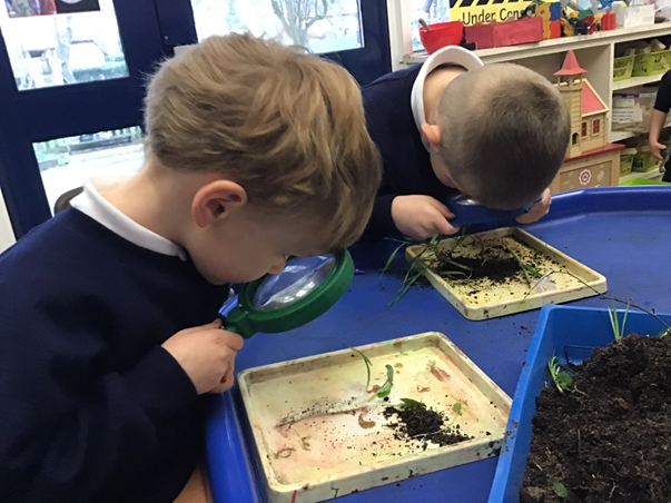 Long Wittenham Primary tweet media