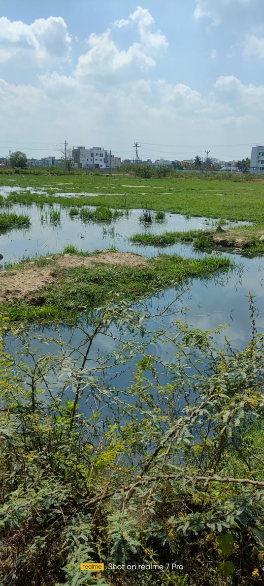 BSathis03628734's tweet image. @KanchiCollector @CMOTamilnadu @thamoanbarasan @Manoharandmk10 #Drainage #waterstanant @Gergumbakkam ramachandra nagar madha townships Around 100 families and children&apos;s old age Sr citizens are suffering on this issue around. Drainage canel work been stopped due to encroachment.