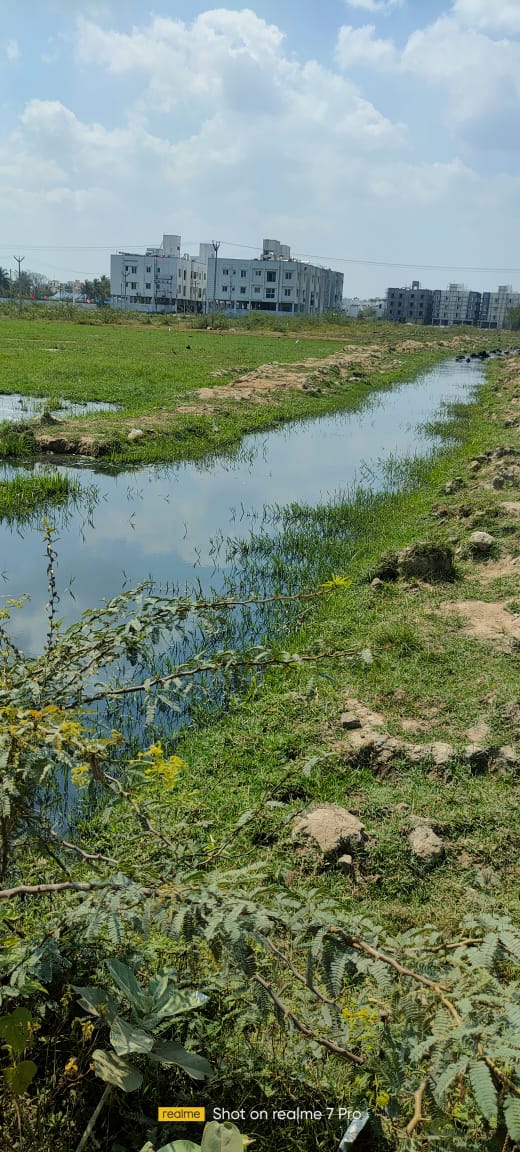 BSathis03628734's tweet image. @KanchiCollector @CMOTamilnadu @thamoanbarasan @Manoharandmk10 #Drainage #waterstanant @Gergumbakkam ramachandra nagar madha townships Around 100 families and children&apos;s old age Sr citizens are suffering on this issue around. Drainage canel work been stopped due to encroachment.