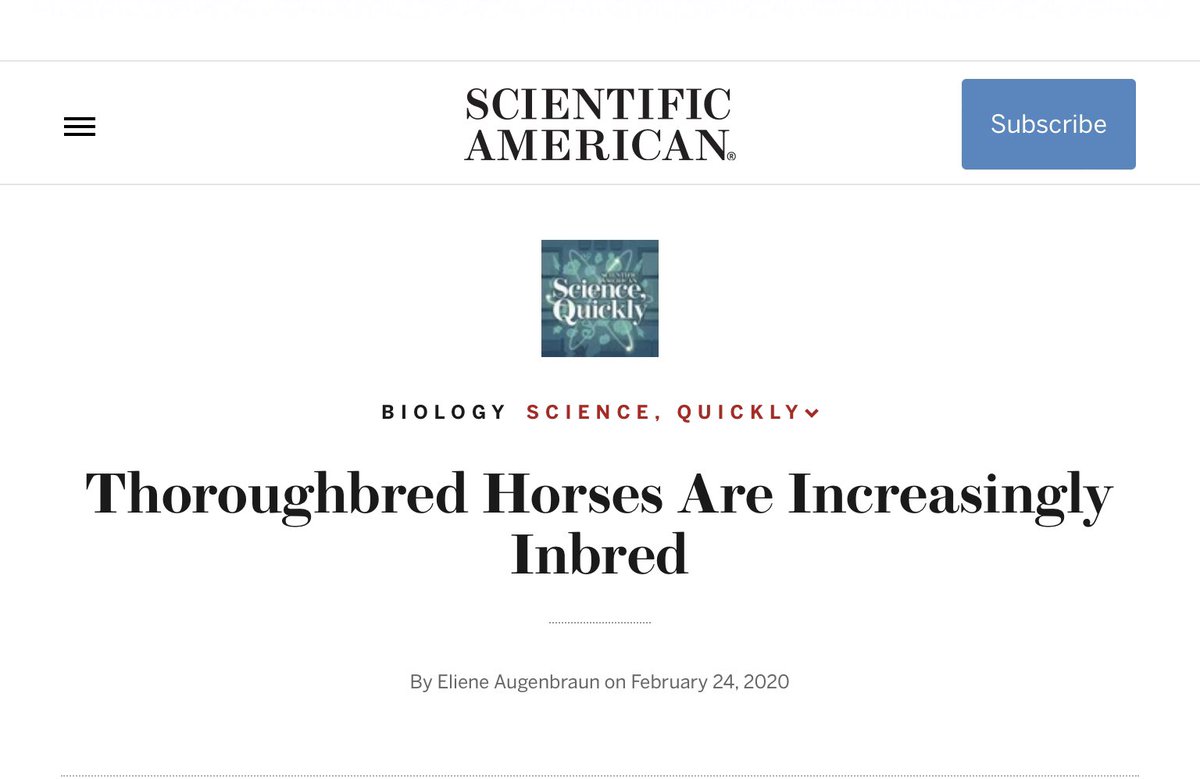 HorseSlaughter_'s tweet photo. @GambleOnHumans @SANDY_BAYLEY @MeetYourMeatNo1 @DAHorseRacing @banhorseracing1 @animaladvocacy_ @DeathsinRacing @Carolyn28953900 Scientific American reports #thoroughbred #horses are increasingly inbred https://t.co/h0vapg4VqZ
#mohm #kickupforracing #banhorseslaughter #bhs #hrf @horse_fund @Joni_Looking
P.S. ❤️ #ottb 🐎 🐎 https://t.co/WAI23T31PG
