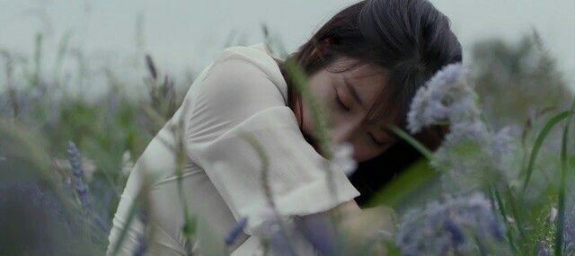 vcracity's tweet image. 