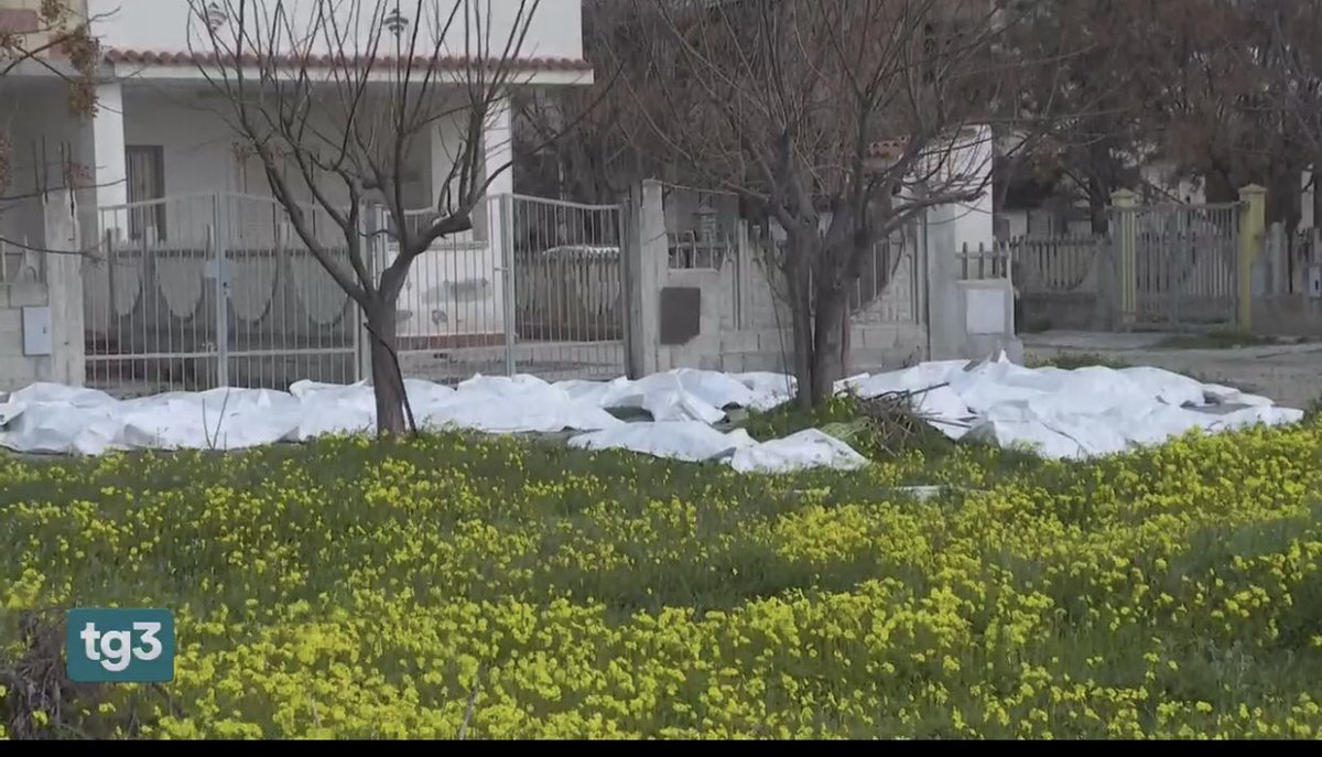 Ennesima tragedia, esprimere cordoglio non basta
