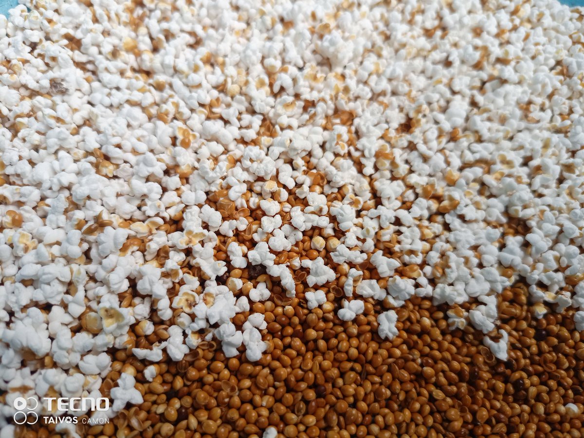 iPoPAfrica (@ipopafrica) on Twitter photo #IYM2023
Today we introduce to you #foxtail #millet #snack and #breakfastcereal
Did you know you can consume popped #foxtail #millet as a healthy, minimally processed ready to go product?
<a href="/AgricultureNan/">Nutritious Agriculture Network (NAN), Kenya</a>
<a href="/wamaithalaureen/">laureen_wamaitha</a> #IYM2023
Today we introduce to you #foxtail #millet #snack and #breakfastcereal
Did you know you can consume popped #foxtail #millet as a healthy, minimally processed ready to go product?
<a href="/AgricultureNan/">Nutritious Agriculture Network (NAN), Kenya</a>
<a href="/wamaithalaureen/">laureen_wamaitha</a>