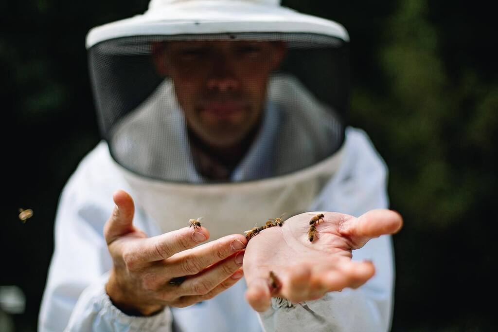 On March 25th and 26th 2023 our beginning beekeeping school will take place @greendoorgourmet farm in Nashville.  Students will receive over 16 hours of training on effectively managing your bee colony, checking for pests, growing your apiary, and unders… instagr.am/p/CpIEvXNup9F/
