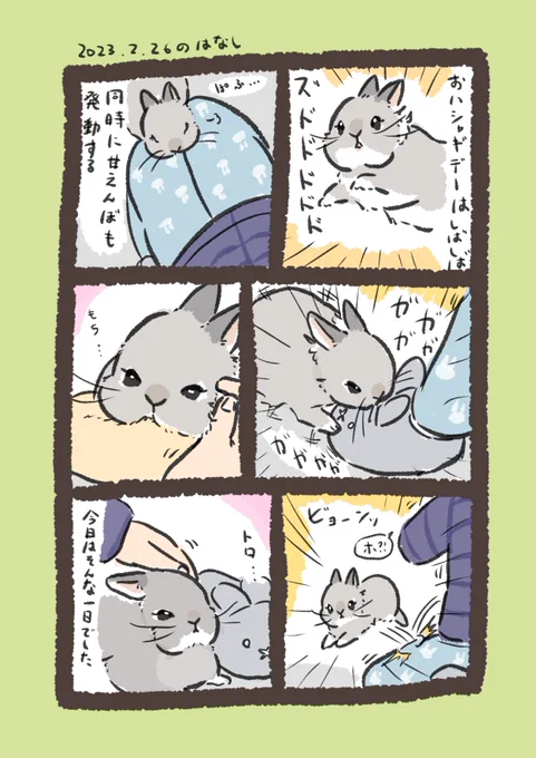 あばれんぼちゃんのあまえんぼちゃん🐰

#うさぎのいる生活 