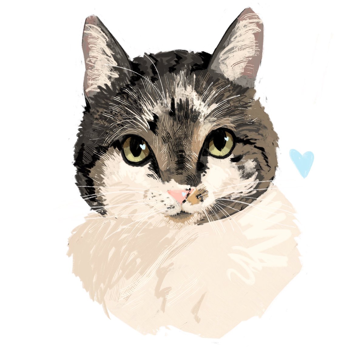 「Pet portraits will be open again in Marc」|🌈⭐Diana TS @ new patreon slots☀️🌈のイラスト