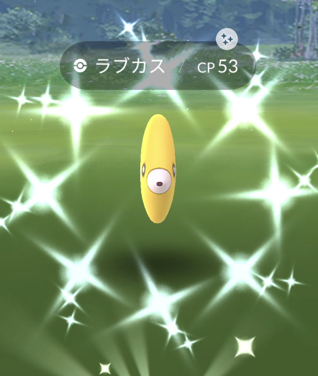 peanutstw's tweet photo. トレーナーのみなさん お疲れ様でした！
キラーン☆　色違いカイオーガ☆
来てくれてありがとう ＼(^o^)／
ステキな出会いに感謝です (*^^*)
やっと会うことができました (о´∀`о)
のんびりの割に、野生、タスク、レイドから1匹ずつは、運が良かったかな (^O^)
#ポケモンGO #ホウエンツアー #色違い https://t.co/eY1ywG8QXF