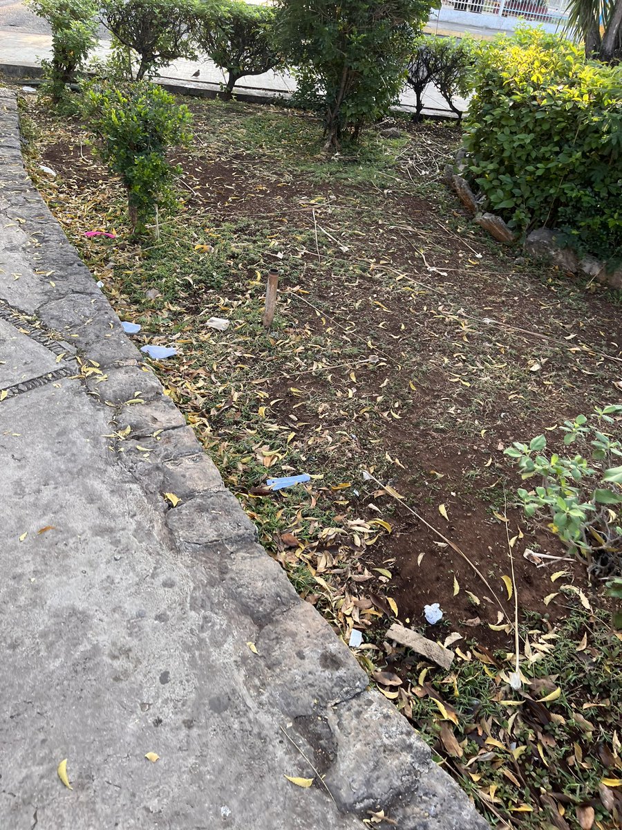 JuanCarlos_GN's tweet photo. Ya es hora de arreglar el problema de basura que queda en el Parque de las Américas todas las mañanas  @AyuntaMerida. https://t.co/u6Xn49l8To