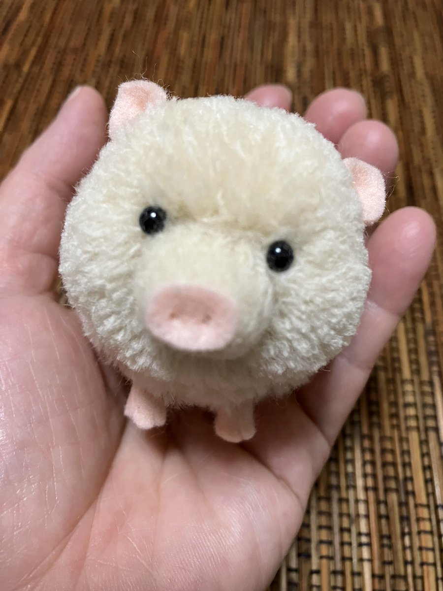 hiinari's tweet photo. ぶたさん🐷
#ぬいぐるみぽんぽん 
#ぶた 
#trikotri https://t.co/4kF7CWNovh