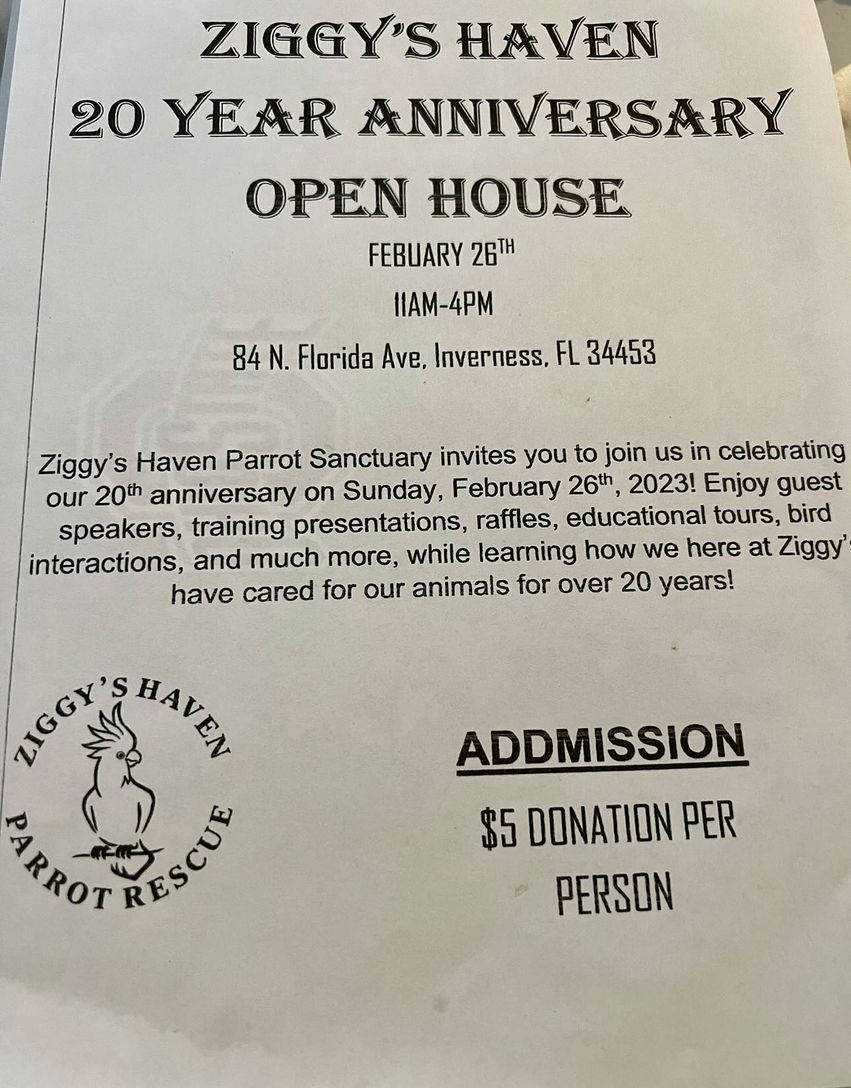 Ziggy's Haven 20 Year Anniversary Open House in Inverness, FL is TODAY!  Hope to see you there!