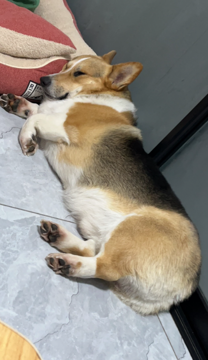 快醒醒，下班了