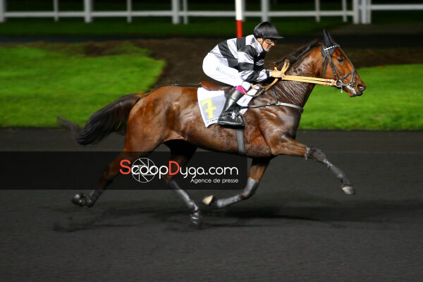 🐴 𝗖𝗔𝗥𝗜𝗢𝗖𝗔 𝗗𝗘 𝗟𝗢𝗨 - #AuRevoirLesC

🧢 Laurent-Claude Abrivard
🎩 Christian Germain
⏱️ 1'11''0

💶 527 720€
🏆 20 victoires

En activité