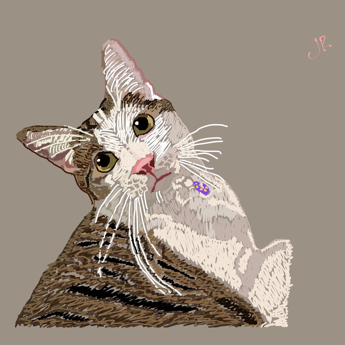 kittressx's tweet photo. cute little animal portraits I’ve been drawing 🥰 https://t.co/wBADTBm5i2