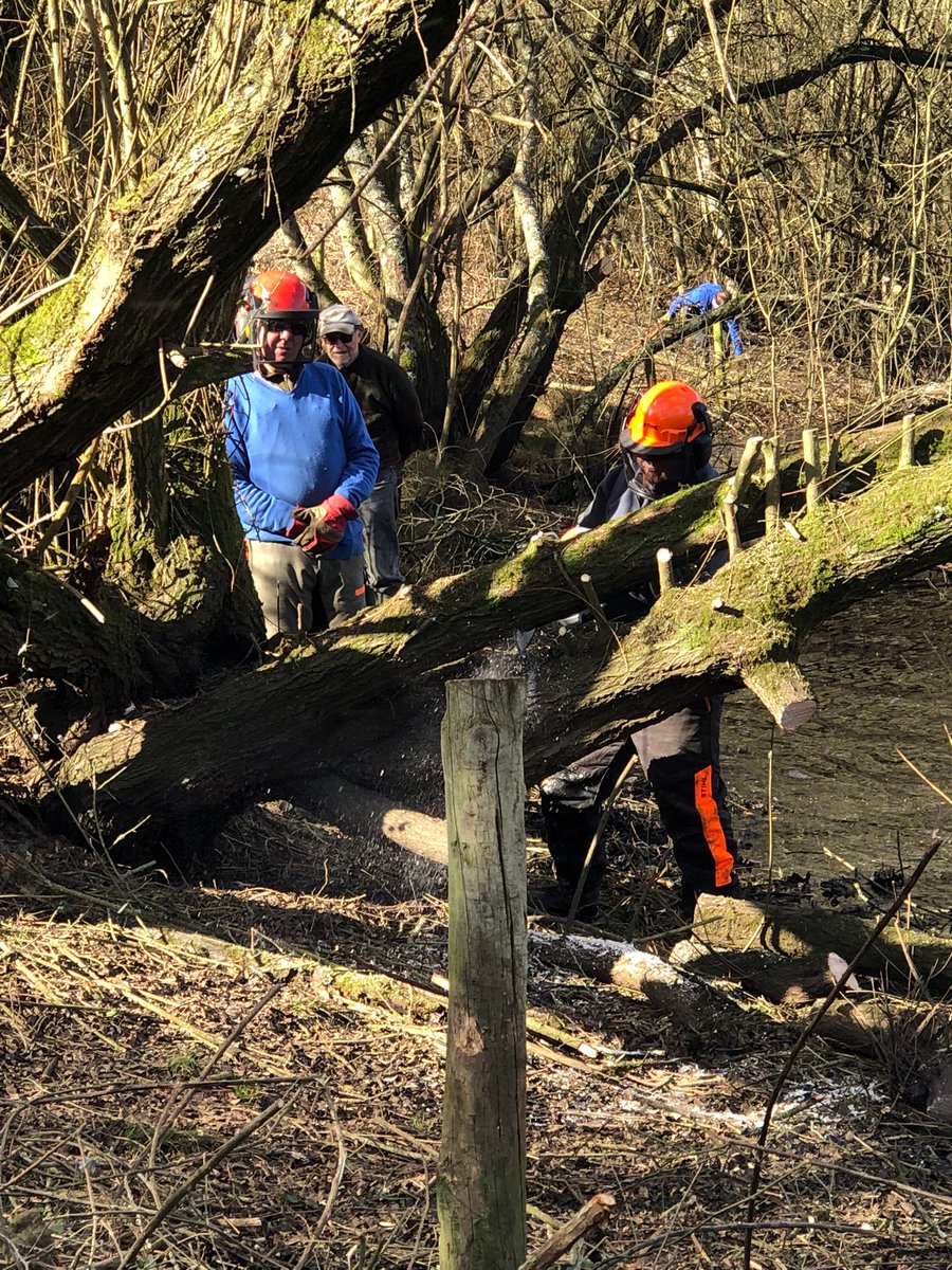 LWT #volunteers aka #heroes turning out in big numbers for big reward tasks - Willow cutting, Phragmites cutting and transplanting, plus obligatory awesome cake with tea &amp; coffee