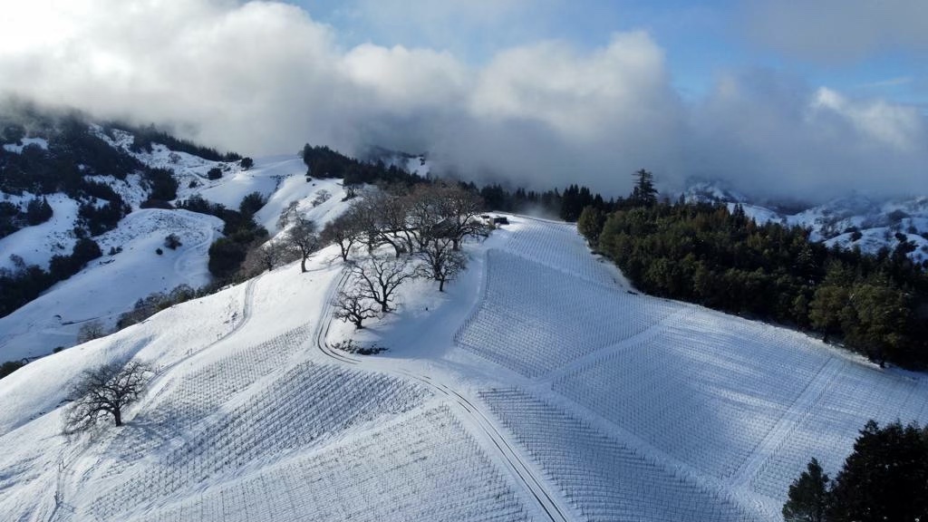 Beautiful snowfall at our Centennial Mountain estate vineyard!! Looks like a late start to 2023 as this will keep the vines asleep for weeks!
