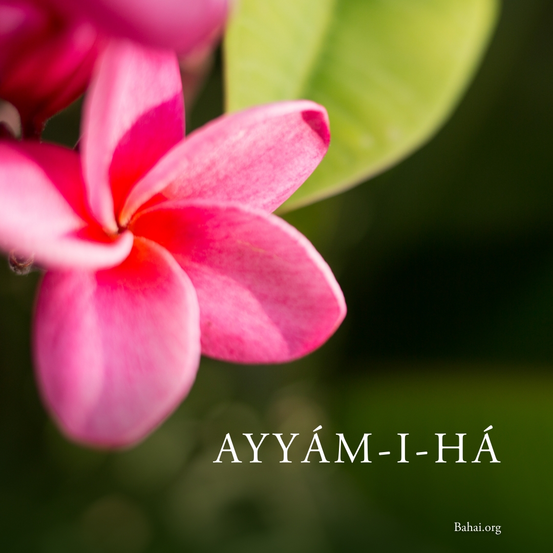 Baha'i Faith tweet media