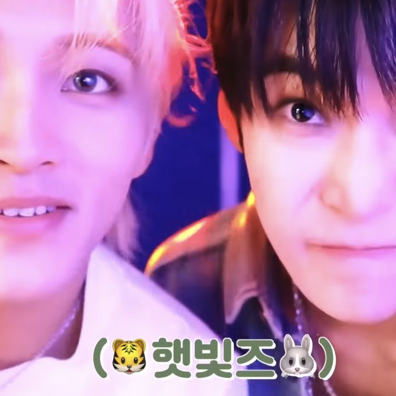 🐯햇빛즈🐰