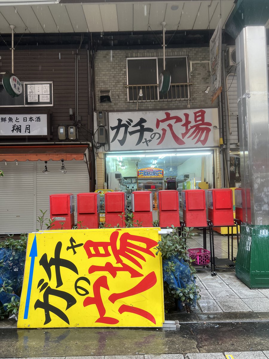 2525damin's tweet photo. 224(24).🐙 https://t.co/TFGIkgEUP2